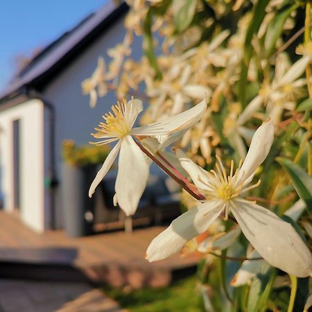 Hastings Casita, 'Little House' Self Contained Garden Lodge, Close To Town And Seafront 외부 사진