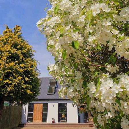 Hastings Casita, 'Little House' Self Contained Garden Lodge, Close To Town And Seafront 외부 사진