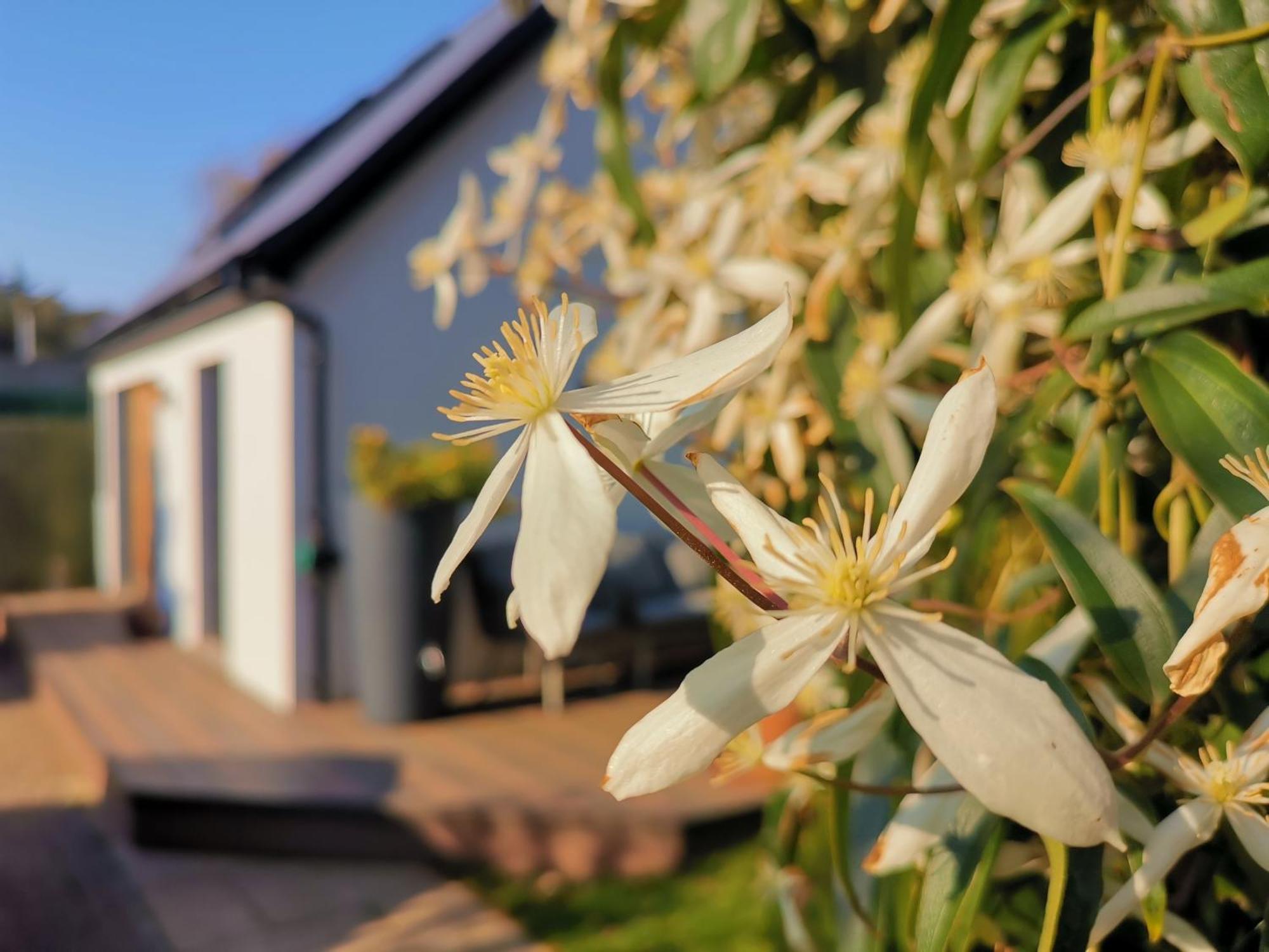 Hastings Casita, 'Little House' Self Contained Garden Lodge, Close To Town And Seafront 외부 사진