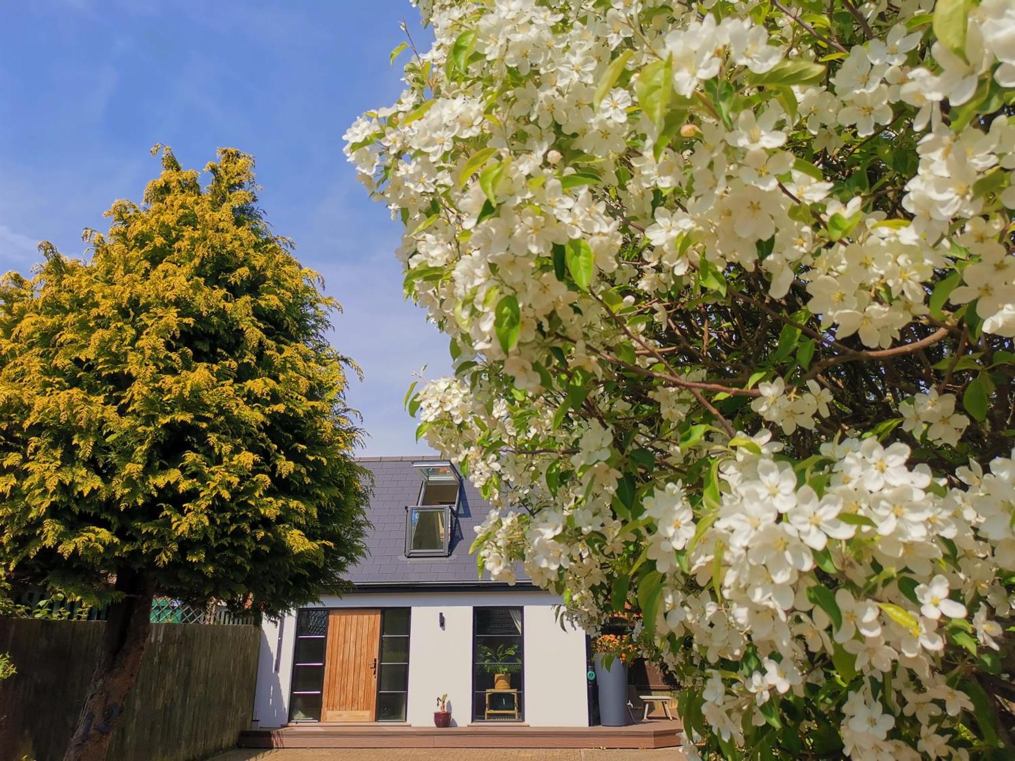 Hastings Casita, 'Little House' Self Contained Garden Lodge, Close To Town And Seafront 외부 사진